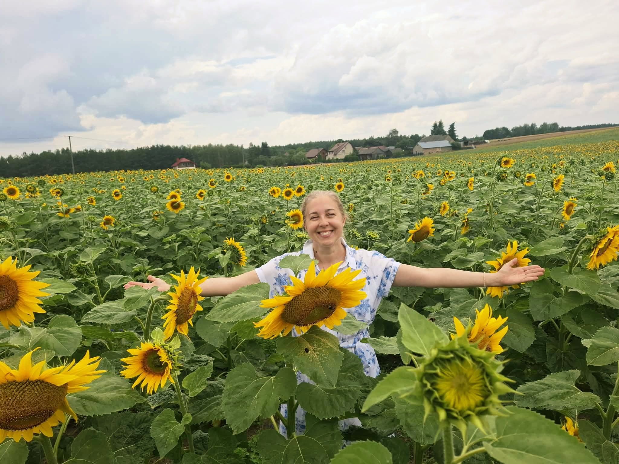 Read more about the article 🌻SŁONECZNIKI, DZIEWANNA, JASTRZĄB I JA🌻